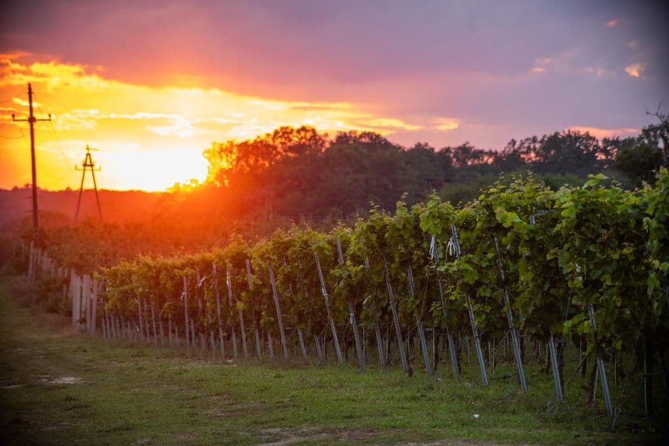 Natural landscape, Sunset