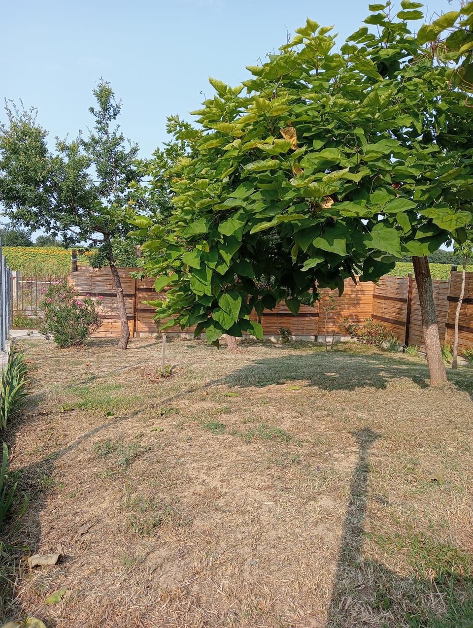Garden, Garden view