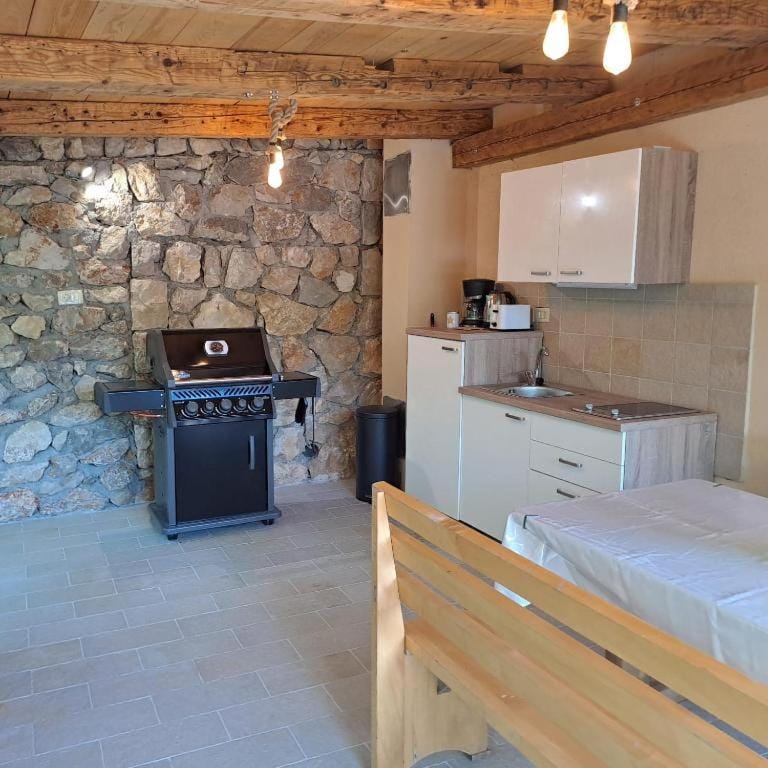 BBQ facilities, Garden, Kitchen or kitchenette