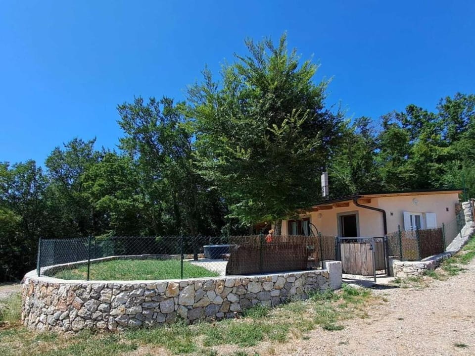 Property building, Garden, Garden view
