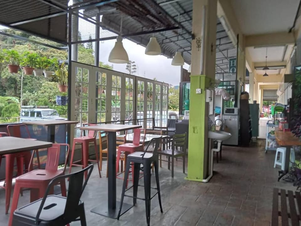 Restaurant/places to eat, View (from property/room), Seating area, Dining area
