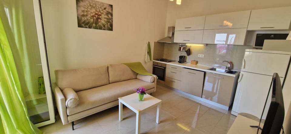 Kitchen or kitchenette, Living room, Seating area, dishwasher, oven, stove