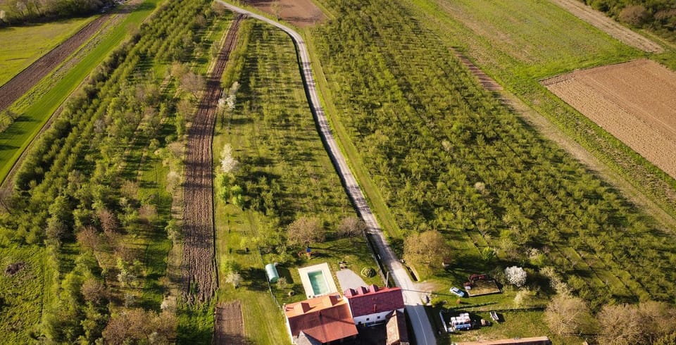 Šljivik stari House in Croatia