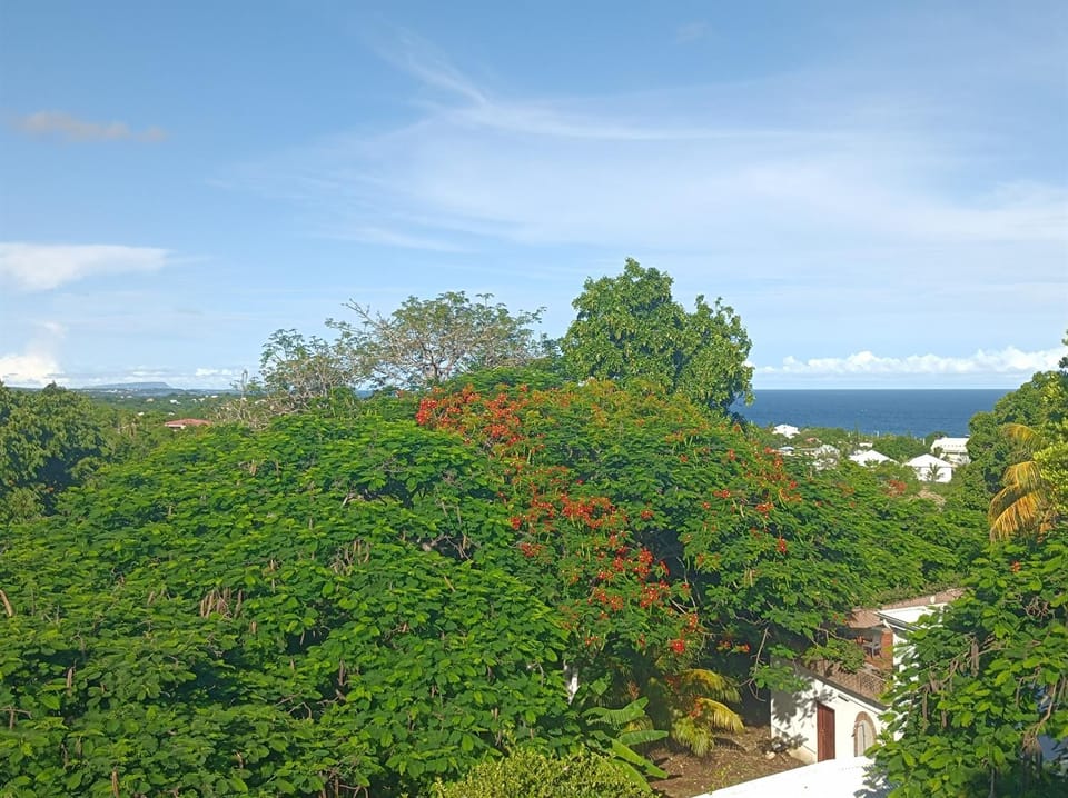 Nearby landmark, Sea view