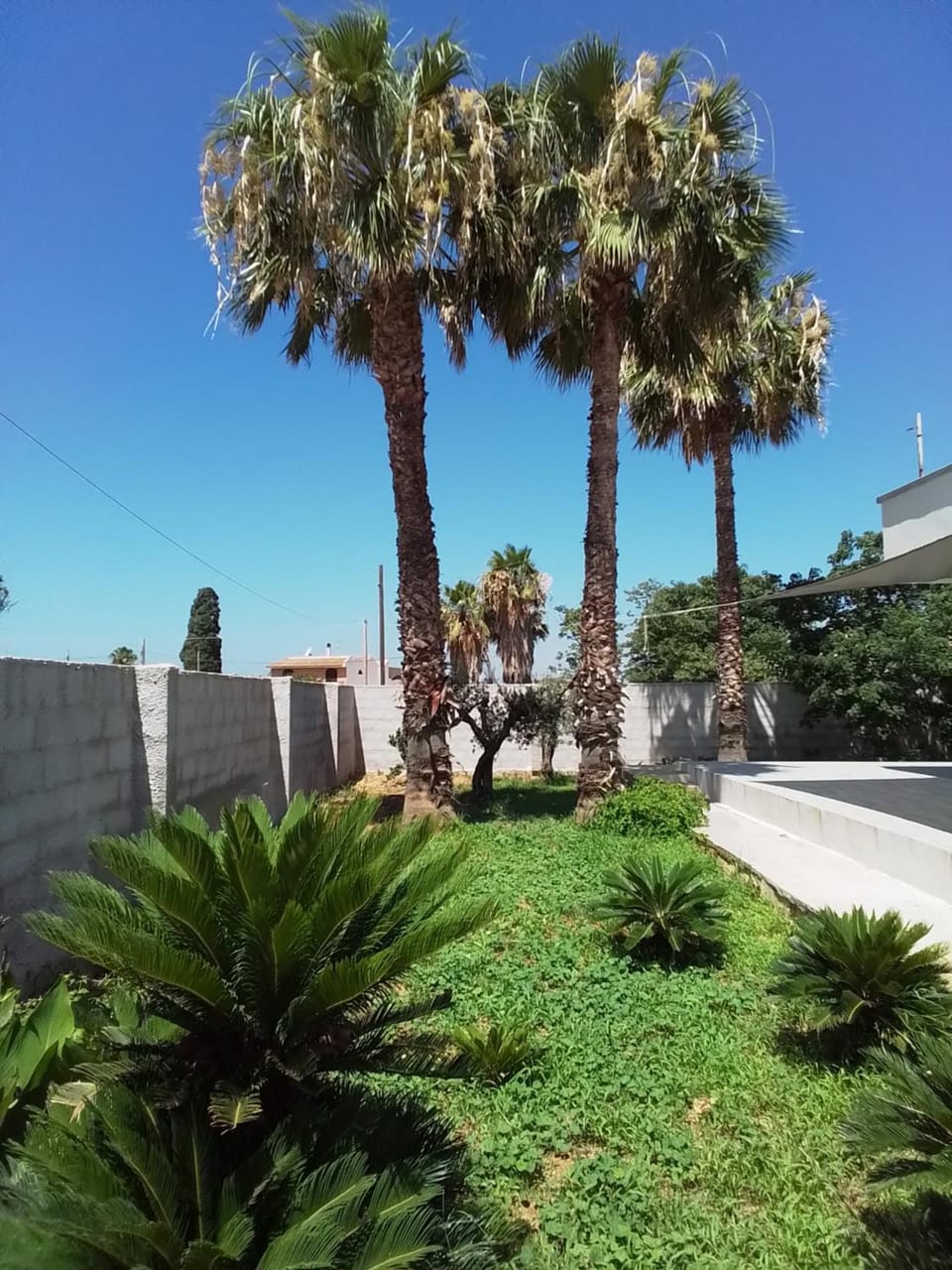 Garden, Garden view