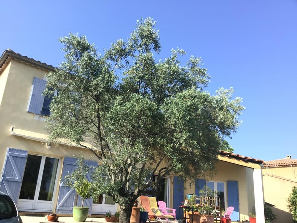 Belle villa avec une piscine Villa in Occitanie