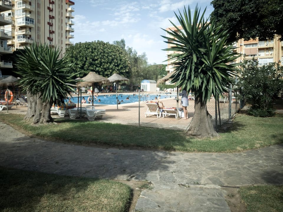 Garden, Garden, Garden view, Pool view, sunbed