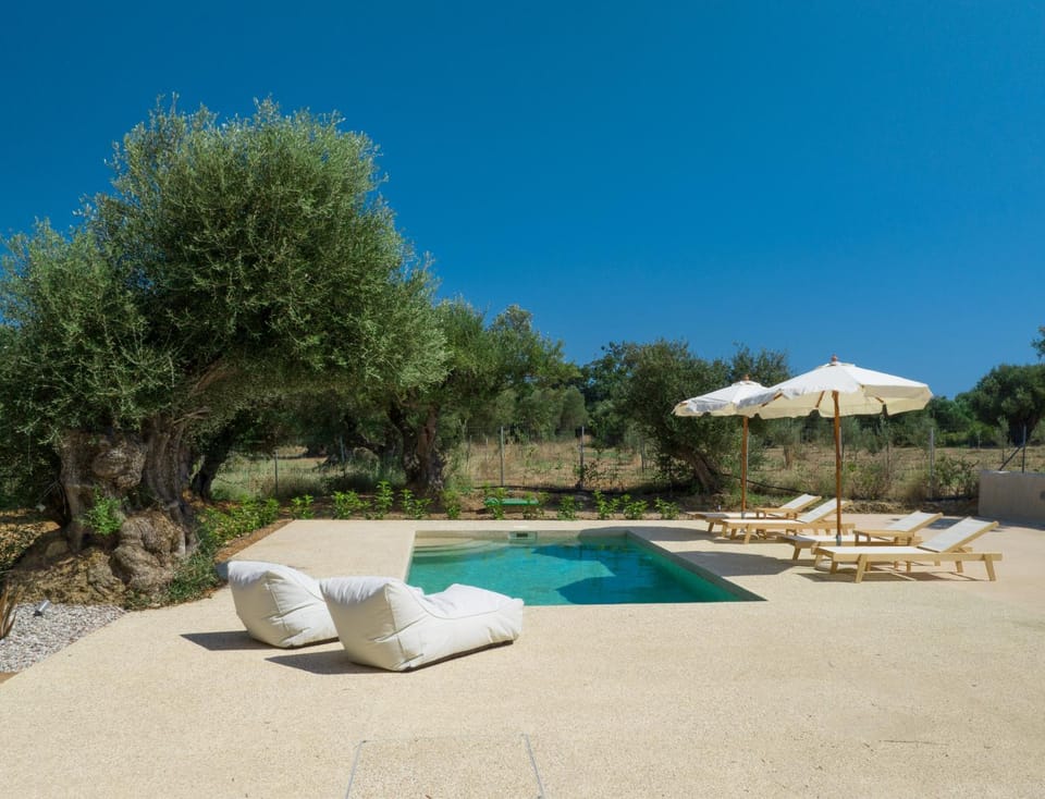 Day, Garden, Garden view, Pool view, Swimming pool, sunbed