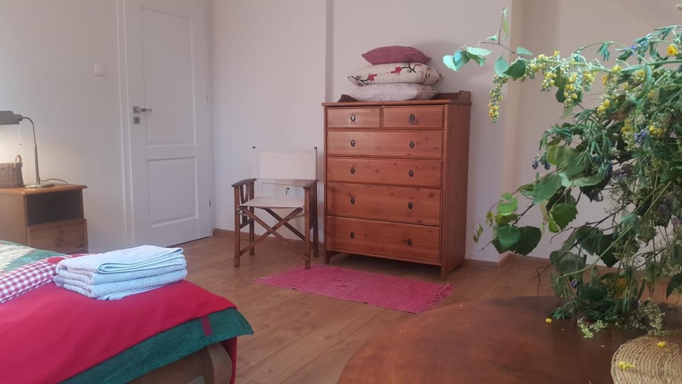Dolinka Apartment in Poland