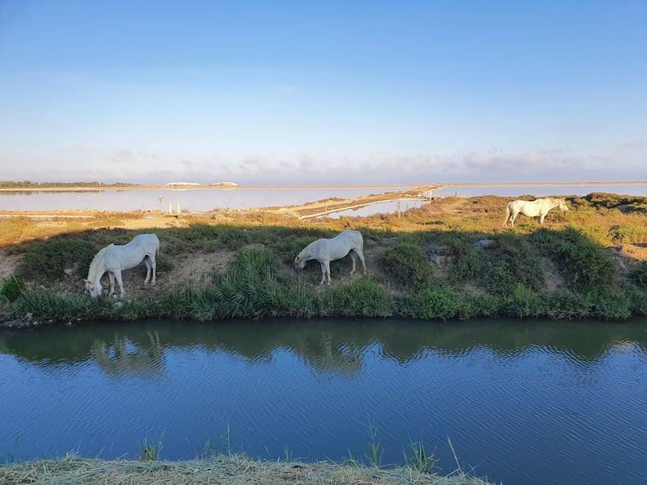 Day, Natural landscape, River view