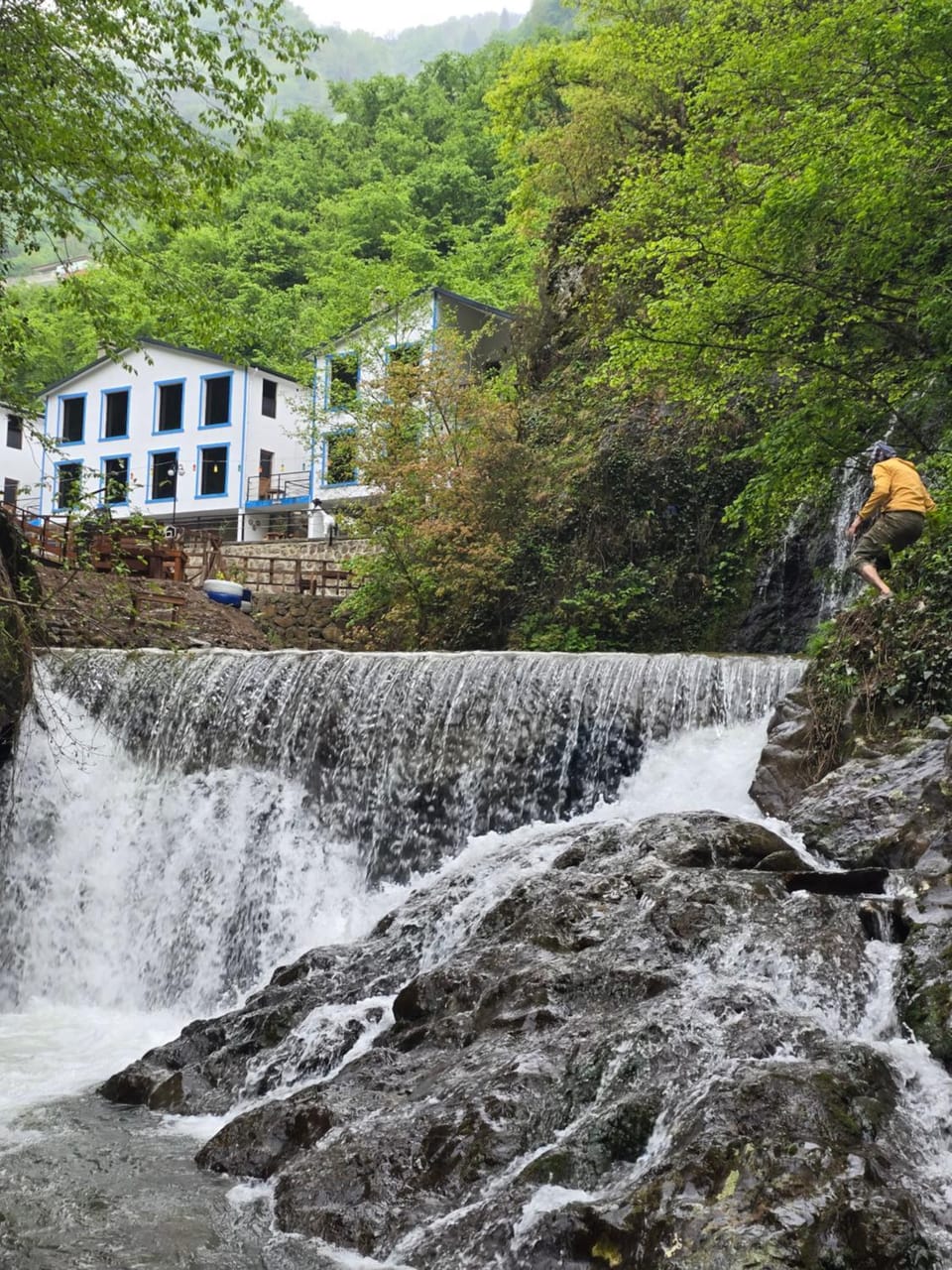 Property building, Natural landscape, River view