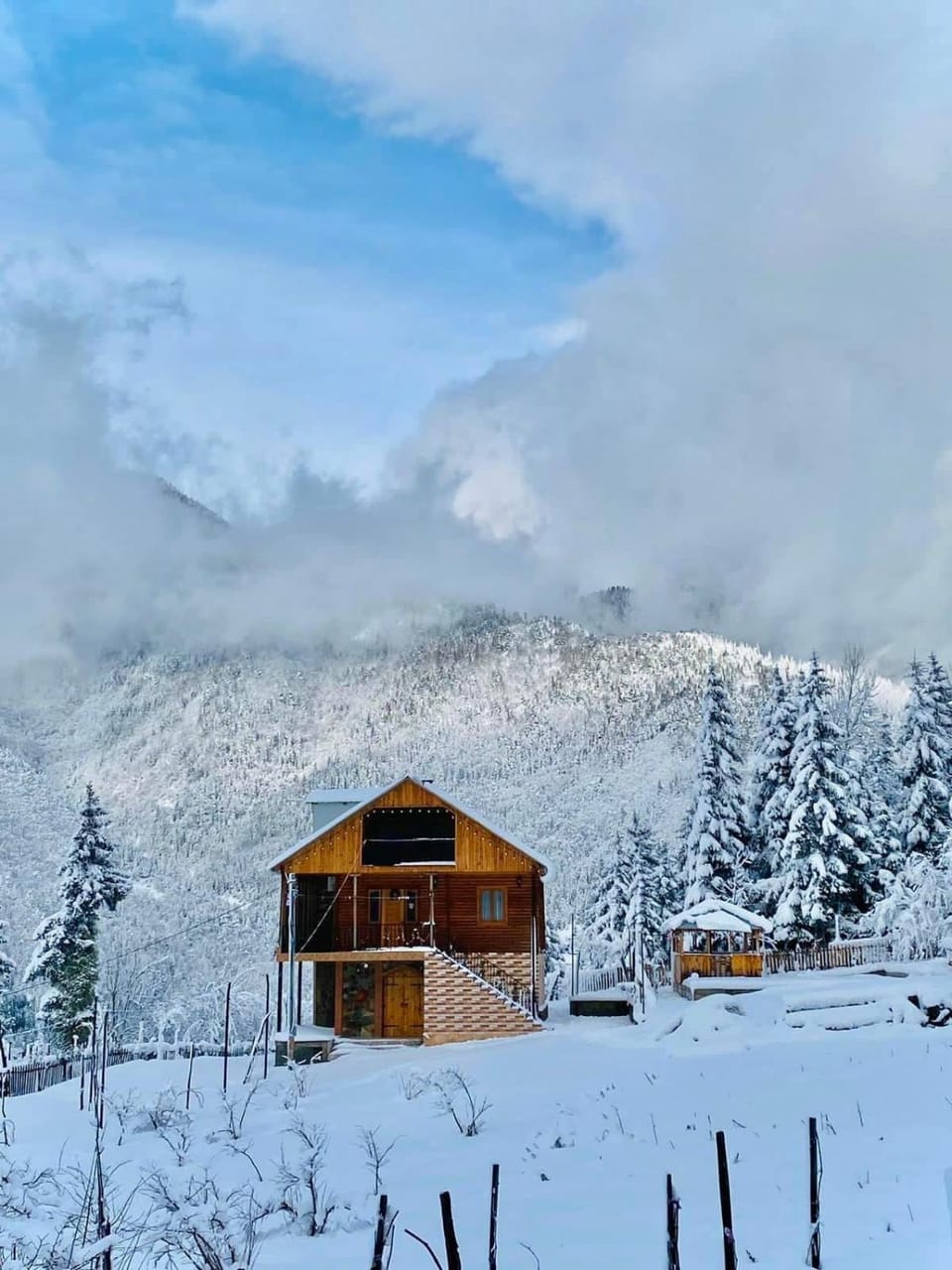 Property building, Winter