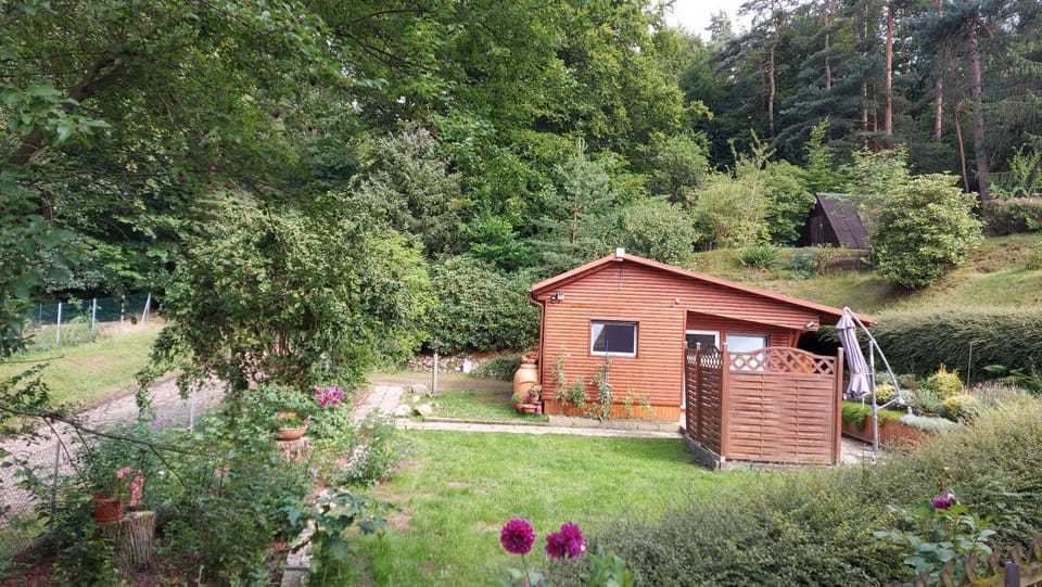 Property building, Natural landscape, Summer, Garden, Hiking, Garden view, Street view