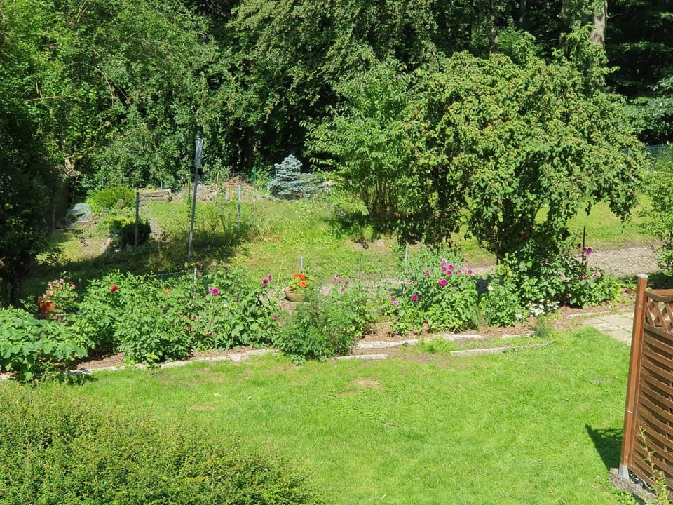 Garden, Garden view