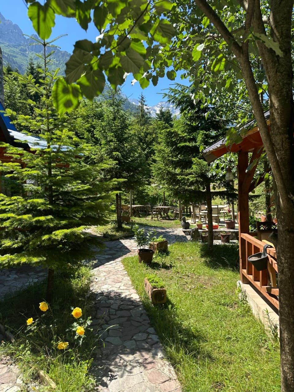 Natyra balcony Hotel in Montenegro