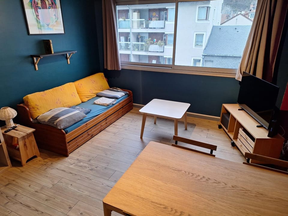 Grenoble: jardin de ville... Apartment in Grenoble