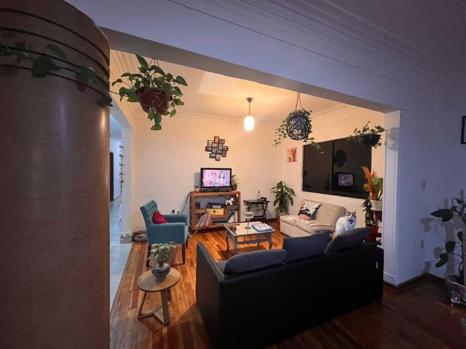 Another short but sweet room Bed and Breakfast in Mexico City