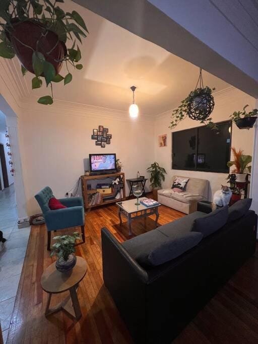 Another short but sweet room Bed and Breakfast in Mexico City