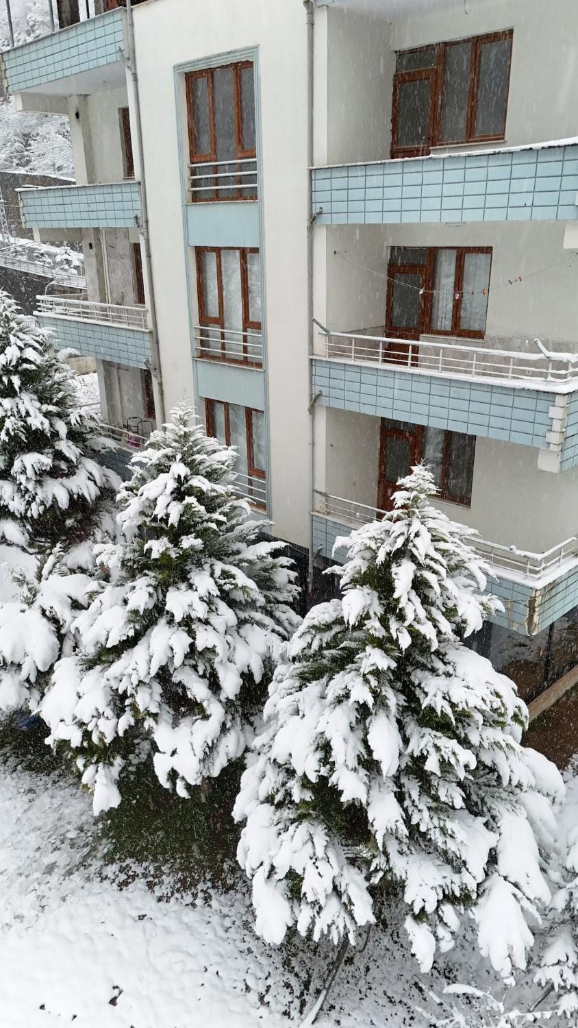 Yeşil ve huzur dolu bir daire Apartment in Turkey