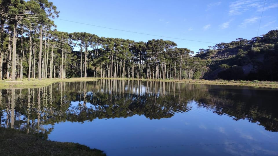 Natural landscape, Lake view