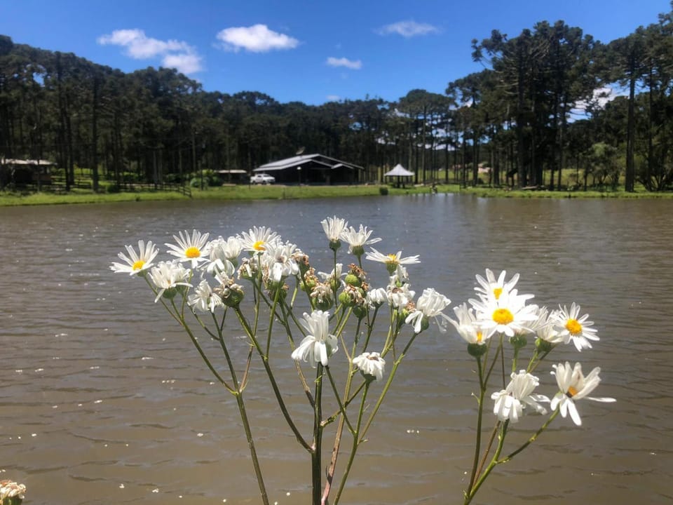 Natural landscape, Lake view, River view
