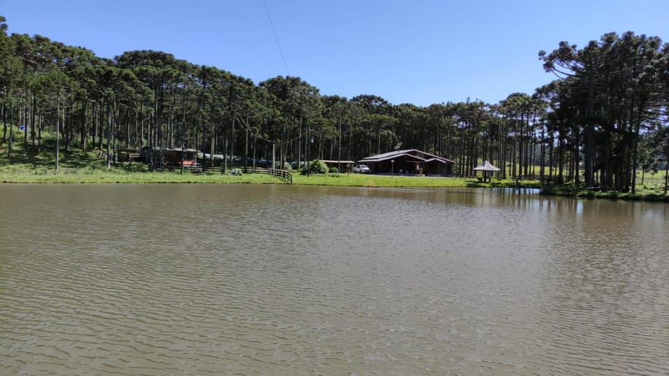 Natural landscape, Lake view