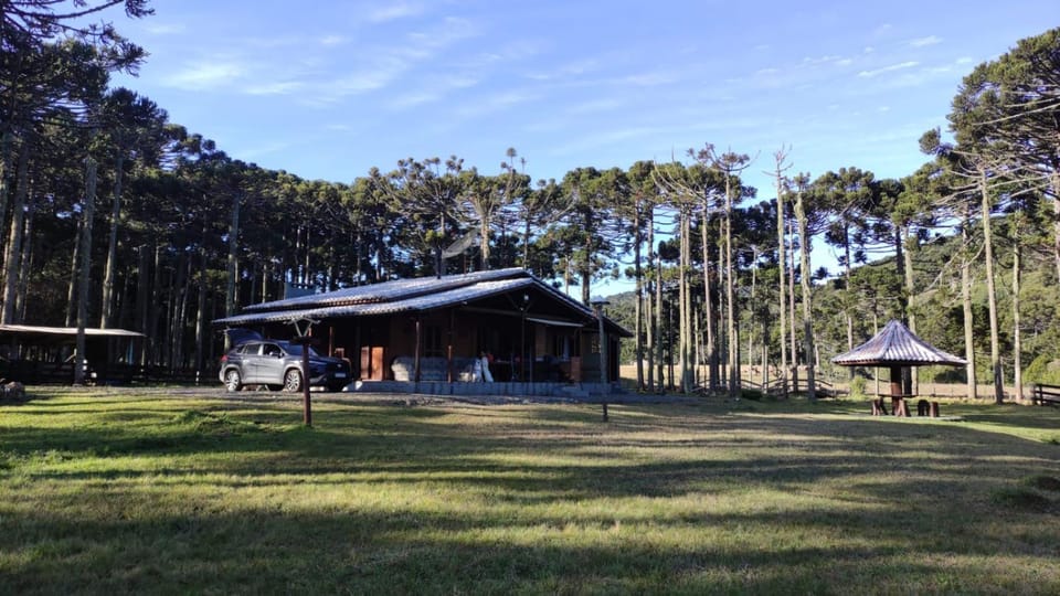 Natural landscape, Garden view