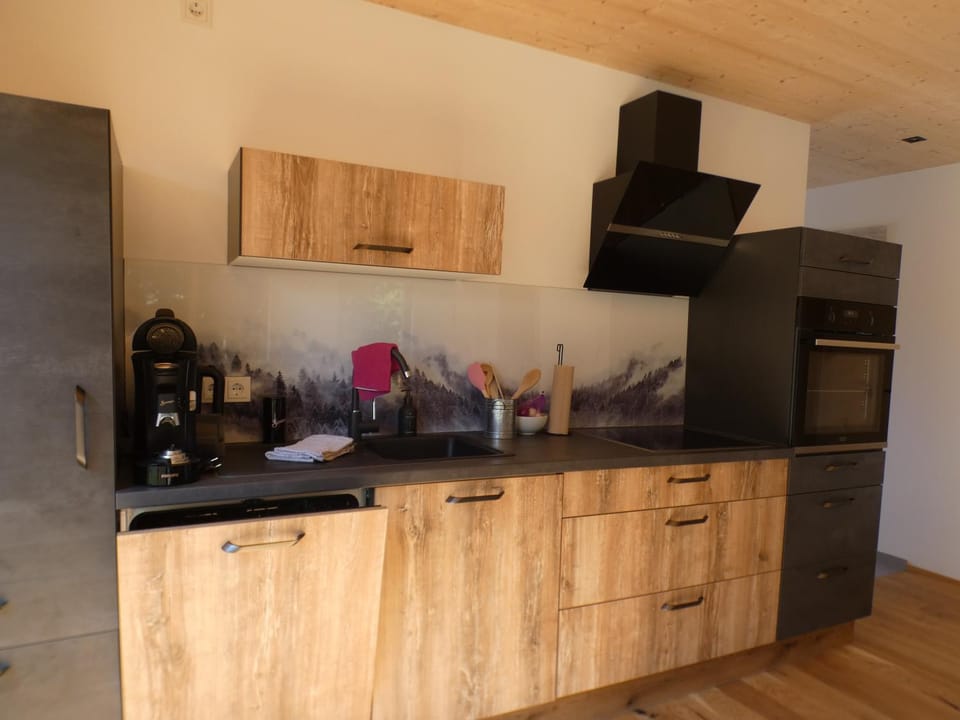Stylische Fewo in Bestlage in neugebautem Holzhaus mit Oberstaufen Plus Apartment in Oberstaufen