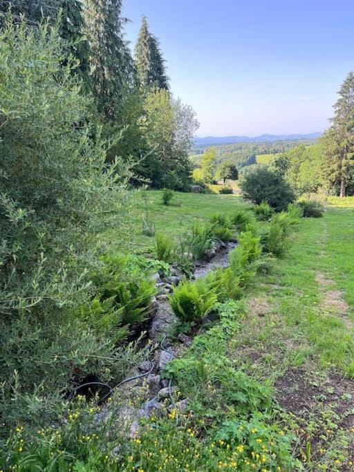 Garden, Garden view
