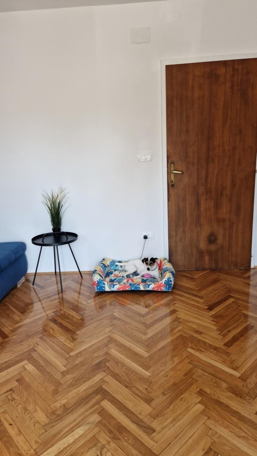 Apartment with e-cars station Apartment in Primorje-Gorski Kotar County