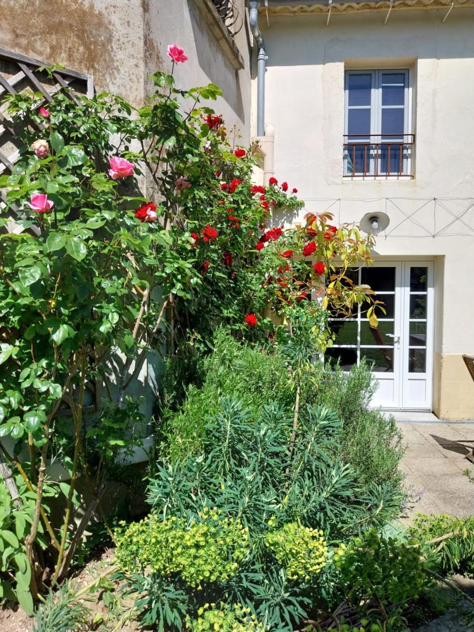 Garden view