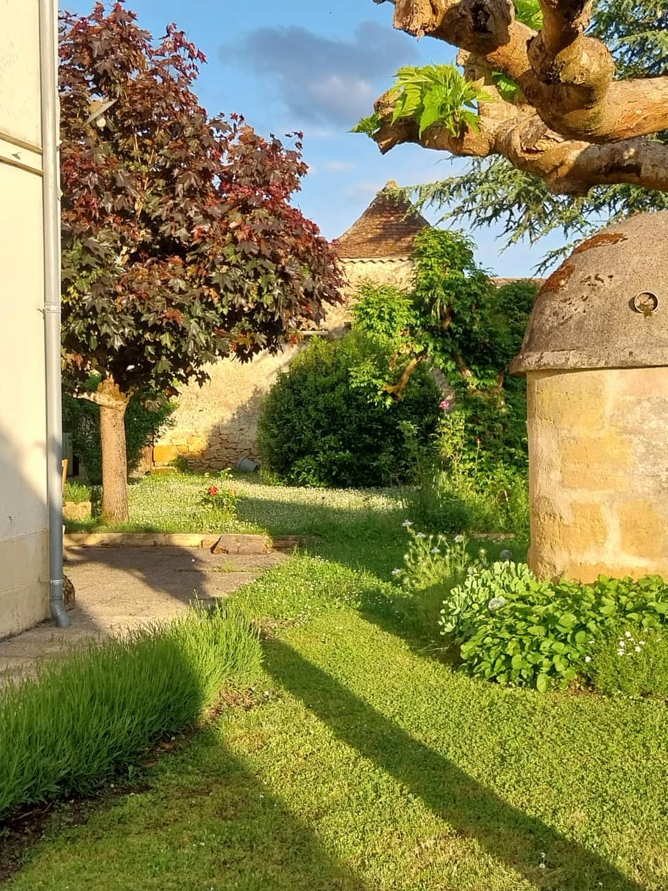 Spring, Garden, Garden view