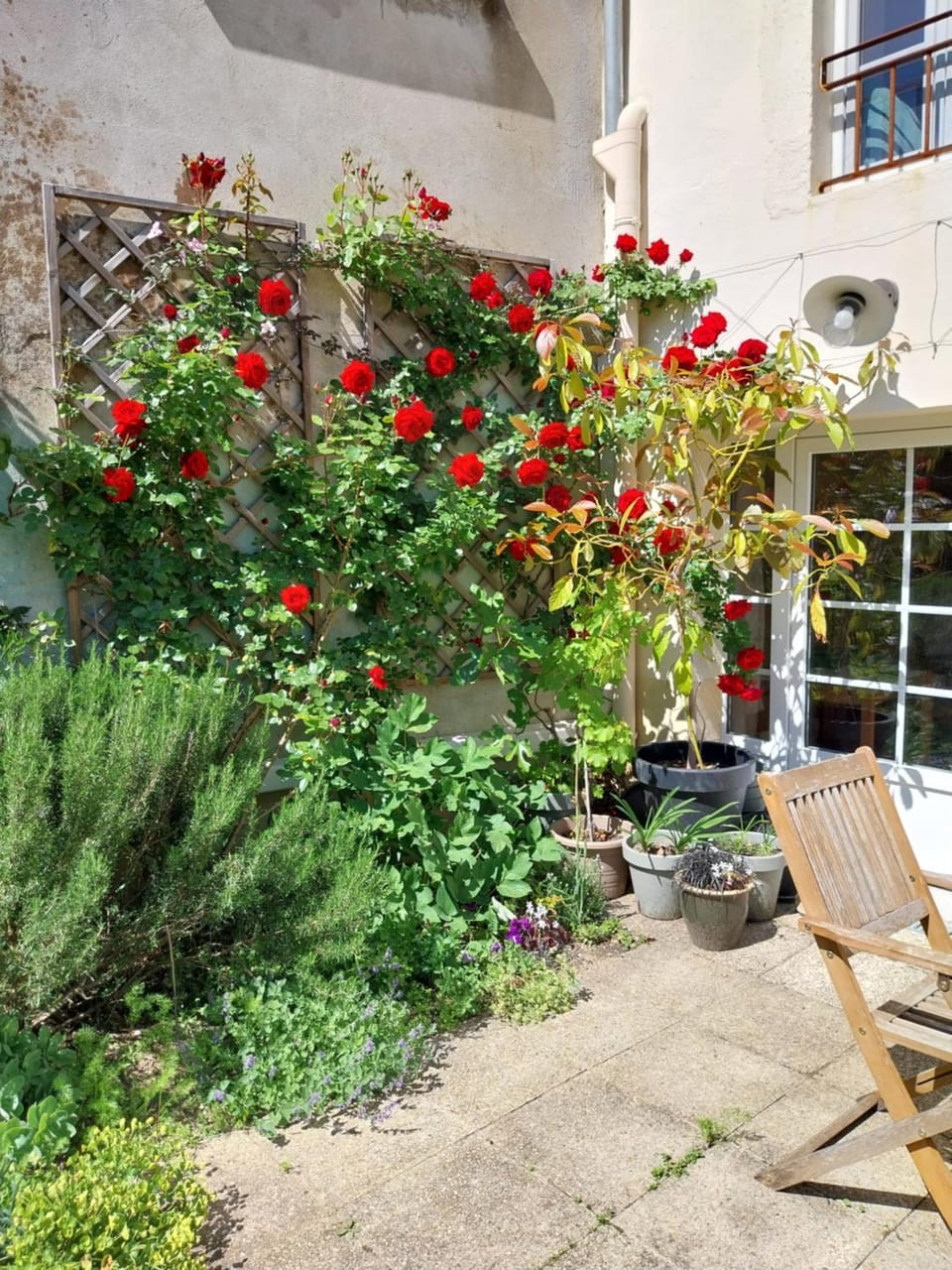 Patio, Spring, Garden