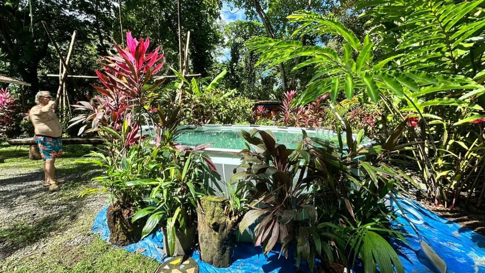 Natural landscape, Swimming pool