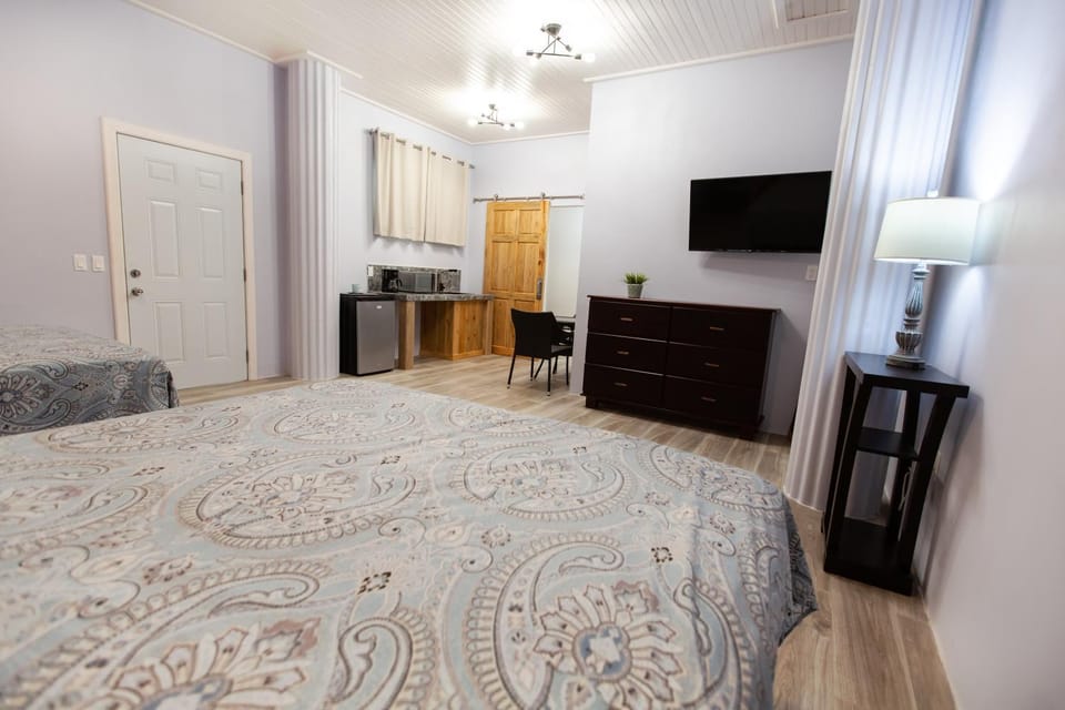 Bed, TV and multimedia, Kitchen or kitchenette, Photo of the whole room, Bedroom, Facility for disabled guests, hair dresser, wardrobe