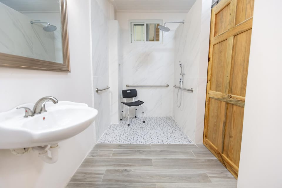 Shower, Toilet, Bathroom, Facility for disabled guests