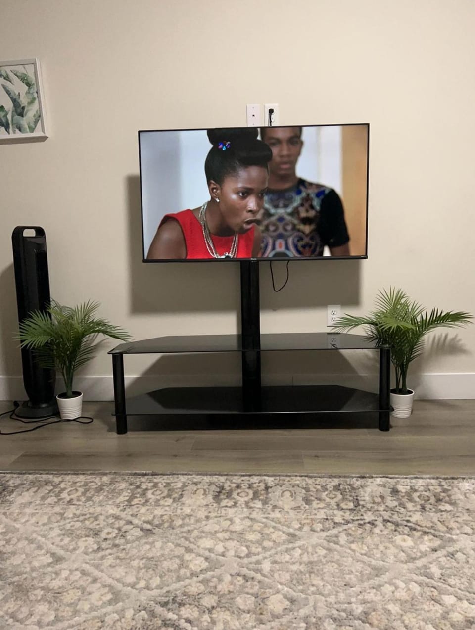 TV and multimedia