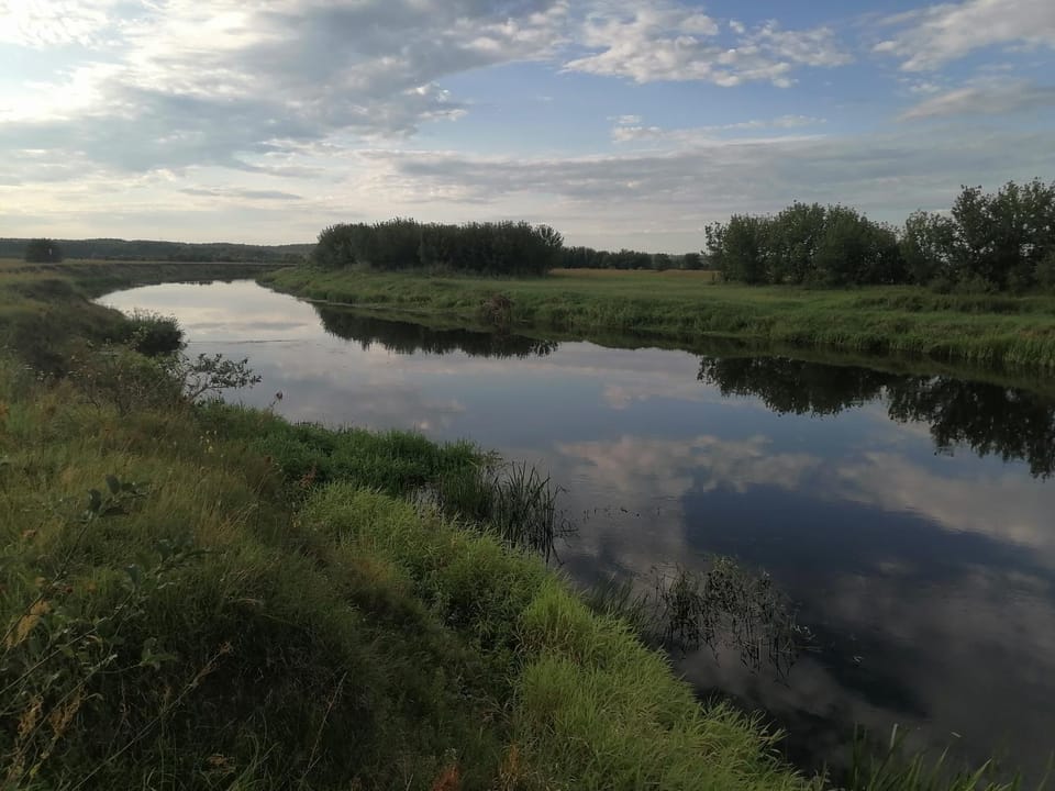 Day, Natural landscape, River view