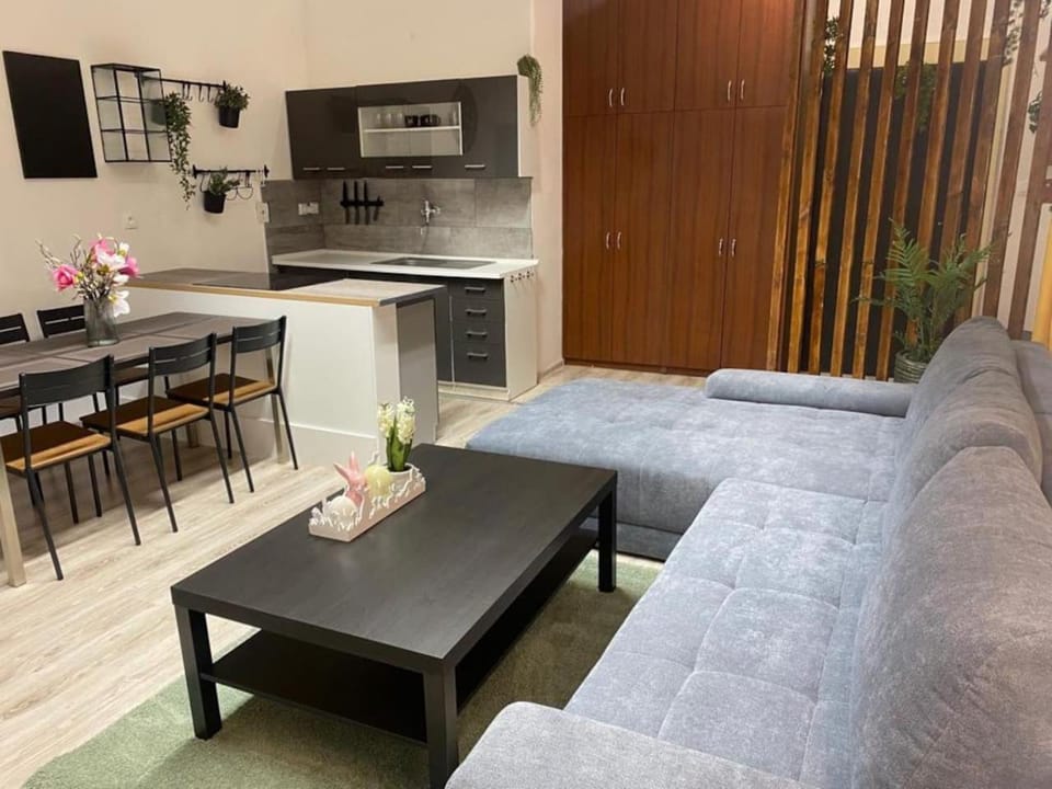 Ubytovanie v centre FREE PARKING Apartment in Slovakia