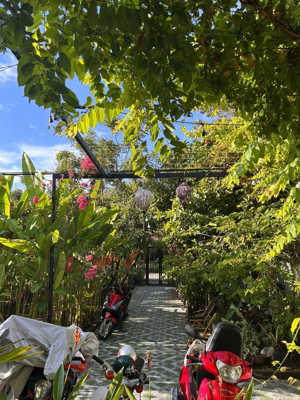 Garden view