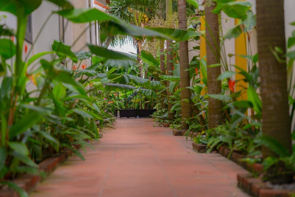 Laoxao Homestay Vacation rental in Hoi An