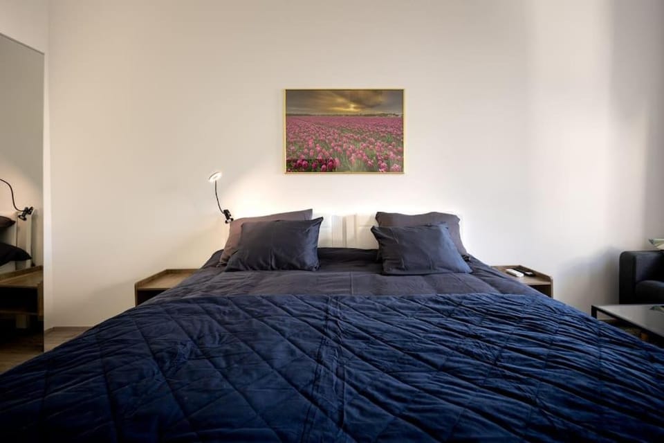 Royal Blue Deluxe Apartment in Vienna