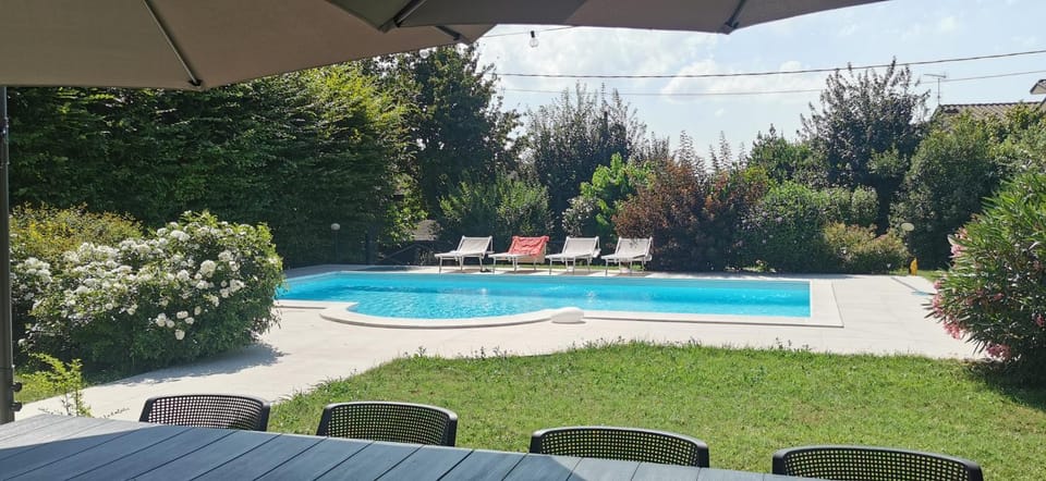 Garden, Garden view, Pool view, Swimming pool, Swimming pool, sunbed