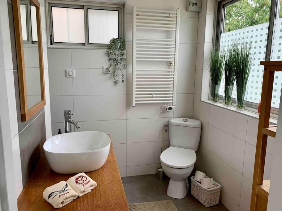 Toilet, Bathroom