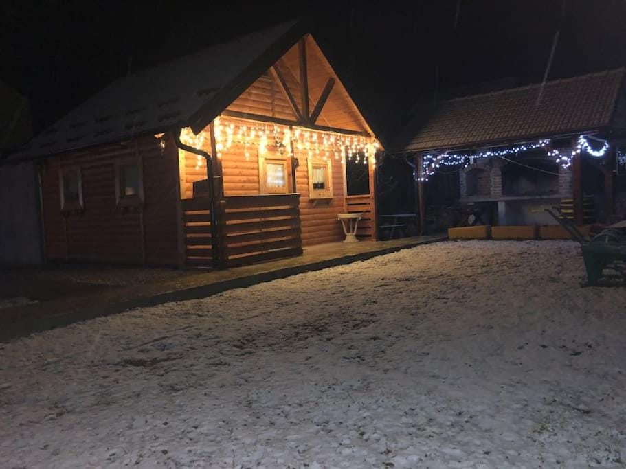 Holiday house Radić Chalet in Slovenia