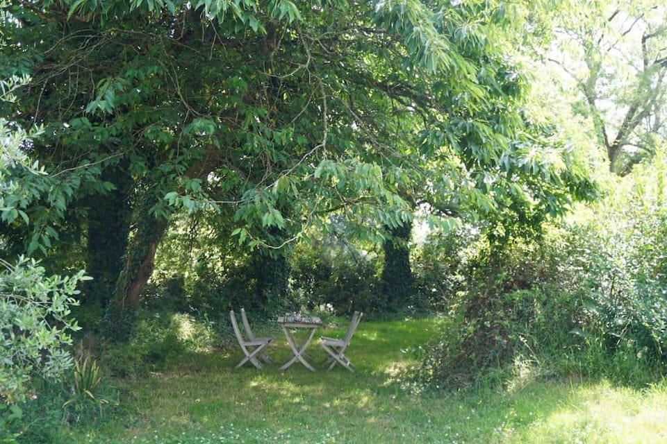 Spring, Natural landscape, Garden