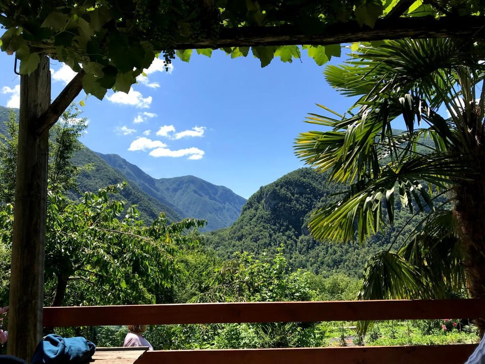 Garden, Garden view