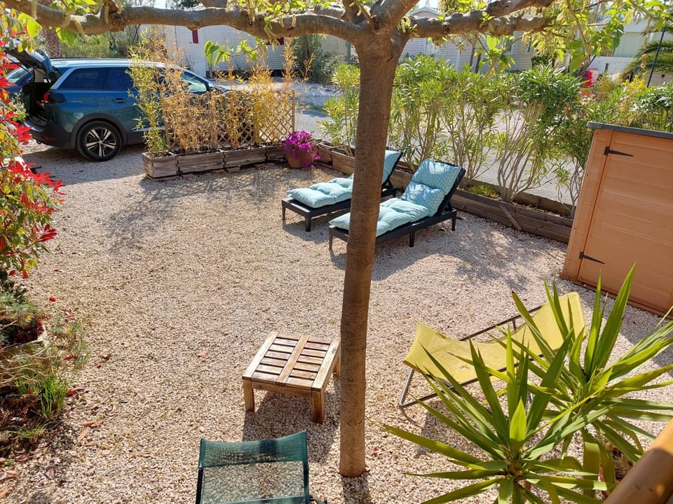 Garden, Garden view, Parking, sunbed
