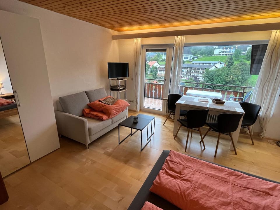 Haus am Sonnenberg, Todtnauberg, Ferienwohnung 204, direkt am Skilift-Skipiste, Nähe Feldberg Apartment in Baden-Württemberg