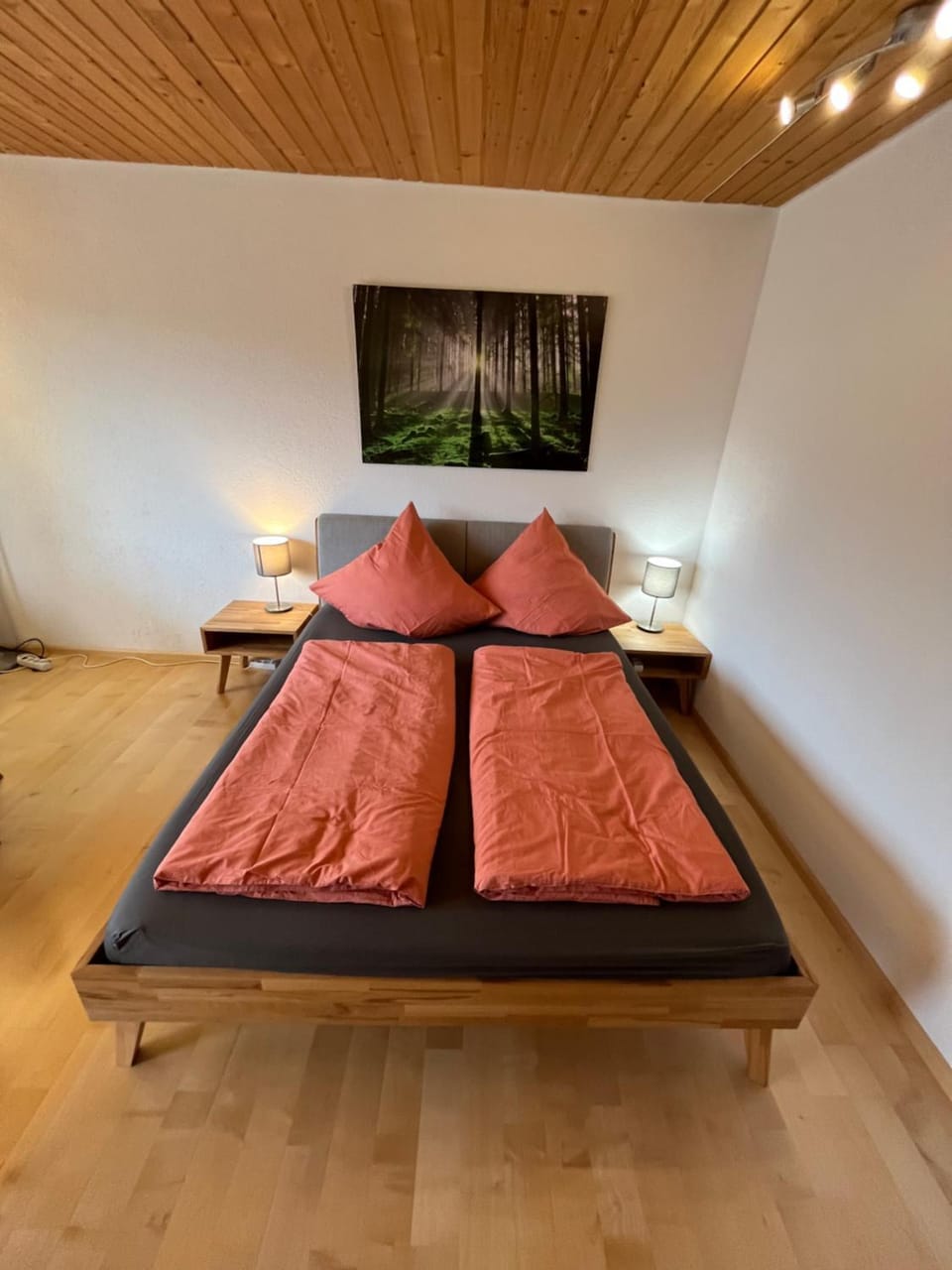 Haus am Sonnenberg, Todtnauberg, Ferienwohnung 204, direkt am Skilift-Skipiste, Nähe Feldberg Apartment in Baden-Württemberg
